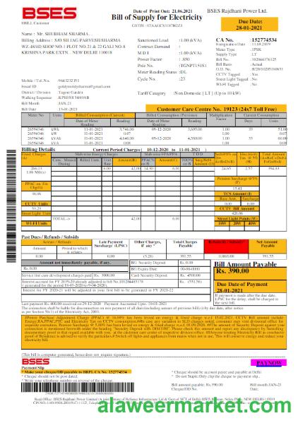 INDIA BSES electricity utility bill Word and PDF template